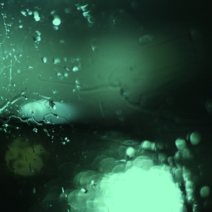 后入式插逼动态图
